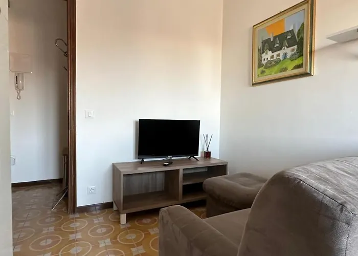 公寓 Bright Mini Blue Balcony 帕多瓦